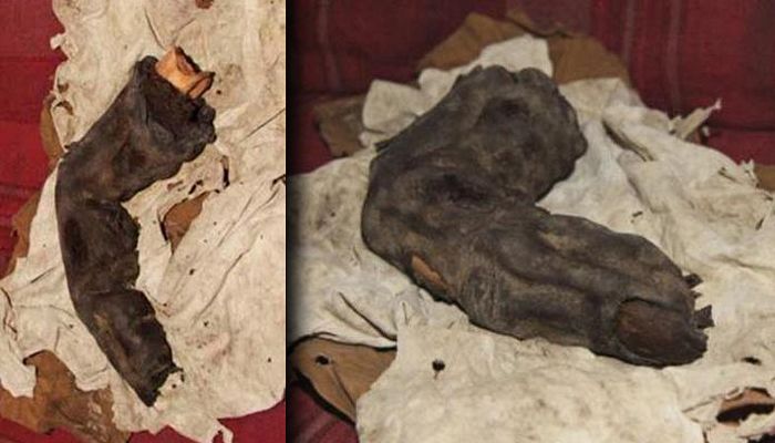 Gigantes no Antigo Egito? Um “dedo mumificado” poderia o confirmar