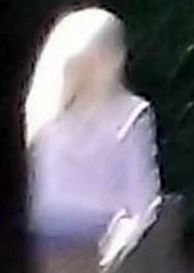 Testemunha acredita ter fotografado um extraterrestre&nbsp;pleiadiano