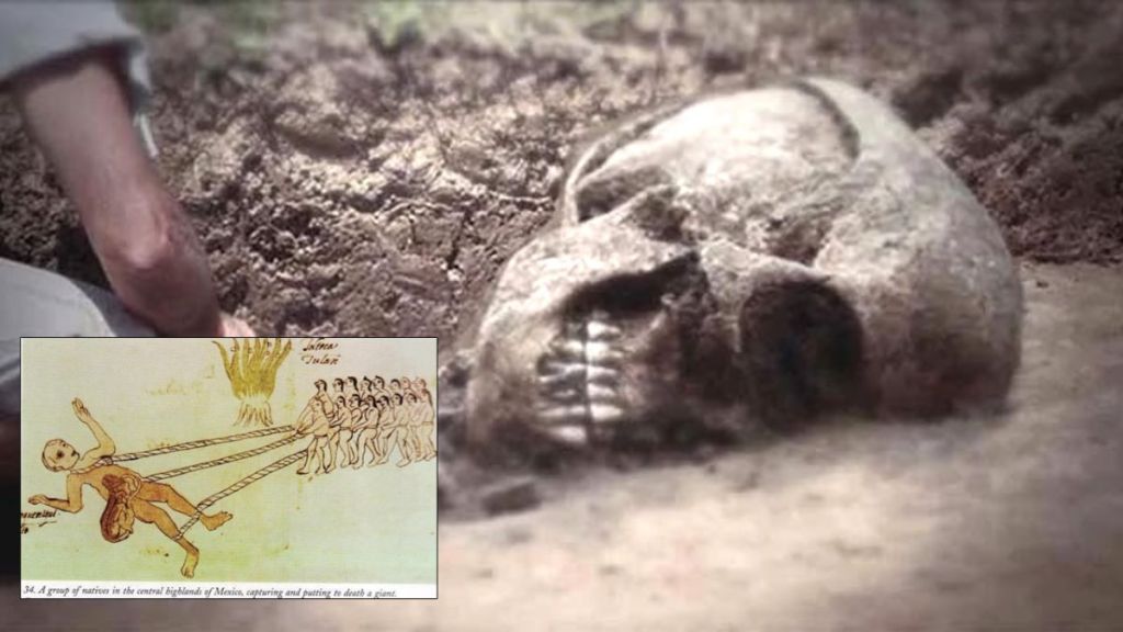 Os esqueletos «gigantes» Quinametzin achados no&nbsp;México